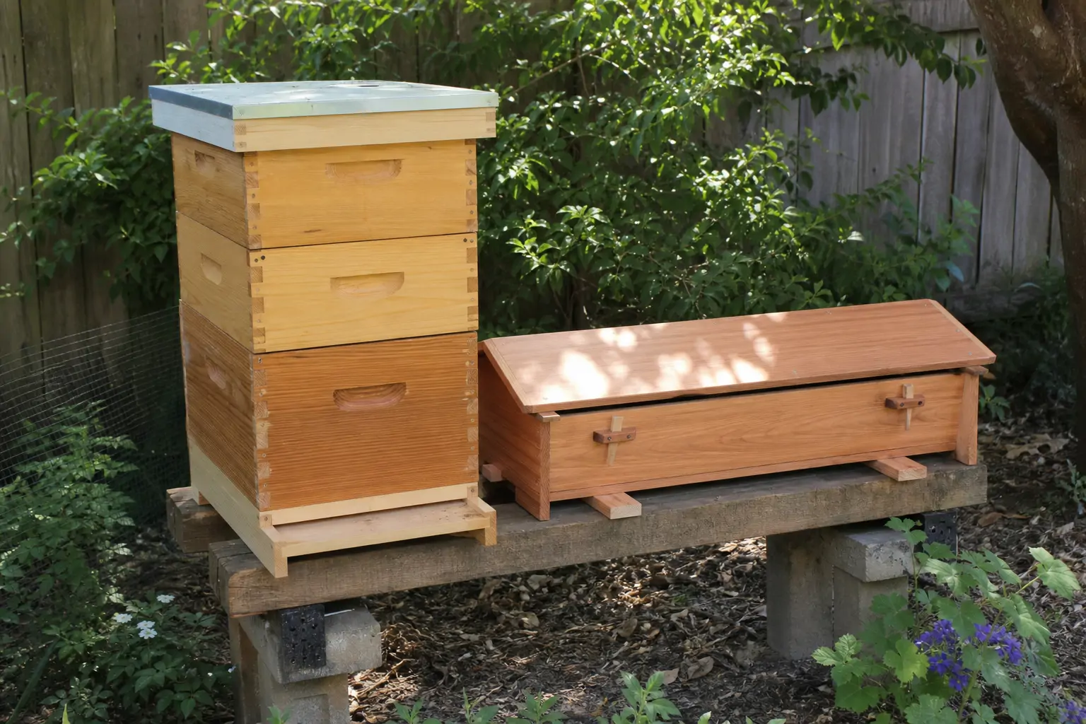 Two different beehive styles, a Langstroth box and a top bar hive, set side by side outdoors.